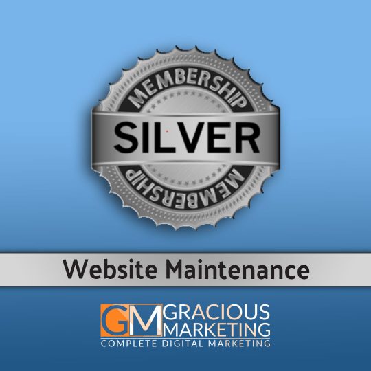 Silver Badge