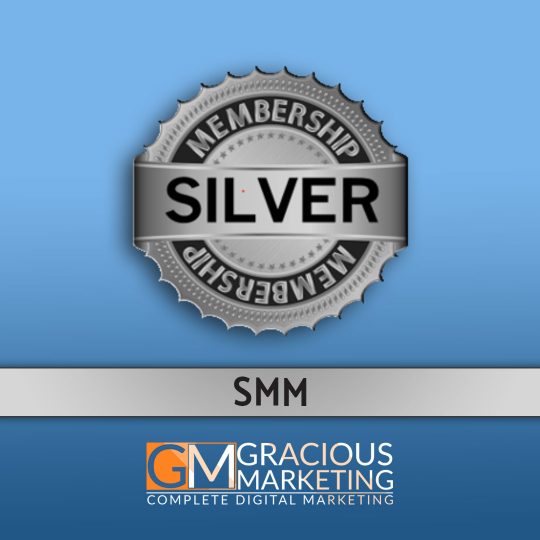 Silver Badge